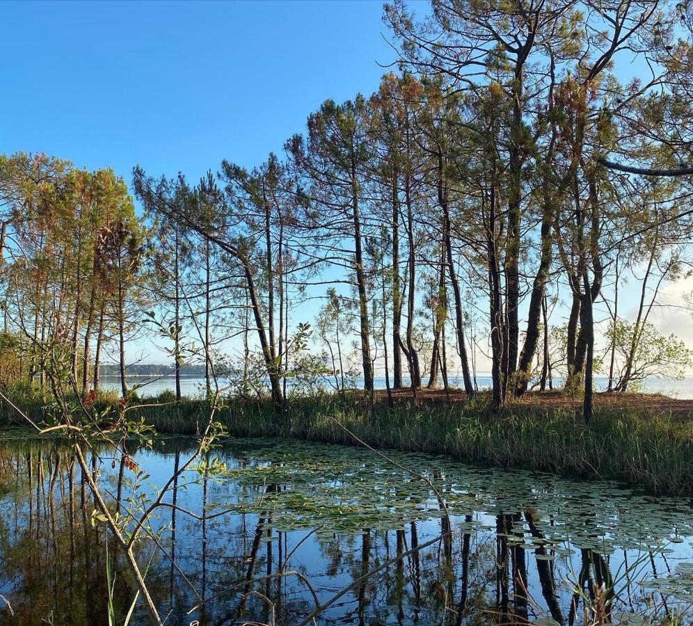 Apt Les Grands Pins, Entre Foret, Lac Et Ocean Carcans Exterior foto