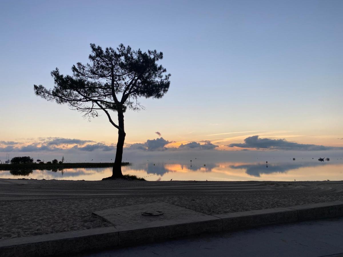 Apt Les Grands Pins, Entre Foret, Lac Et Ocean Carcans Exterior foto